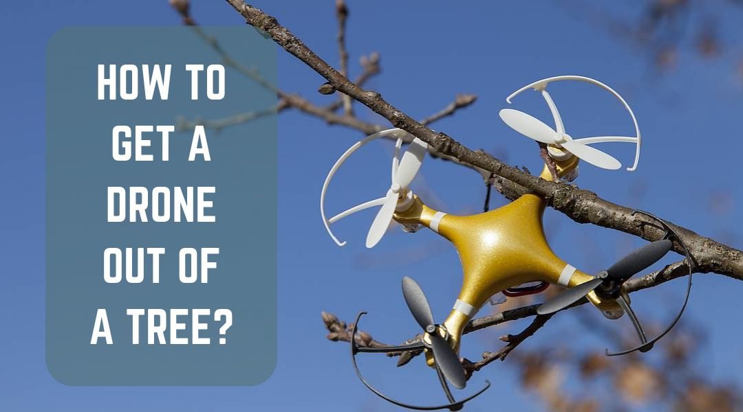 How to Get a Drone Out of a Tree Safely
