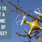 How to Get a Drone Out of a Tree Safely